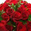 Roses - boxy, donáška kvetov Bratislava