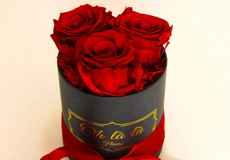 Malý box 3ks Éternelle rose s vôňou záhradných ruží - do 2 hod. - do-2-hodin, donáška kvetov Bratislava