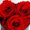 Malý box 5ks Éternelle rose s vôňou záhradných ruží - trvacne-ruze, donáška kvetov Bratislava