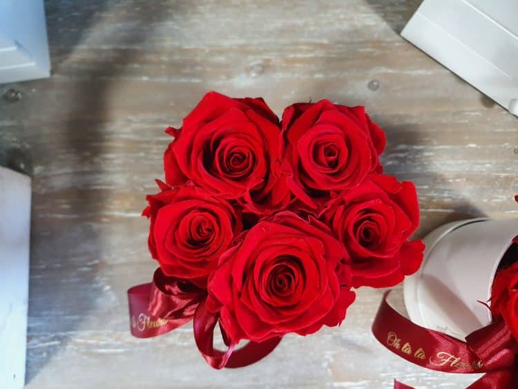 Malý box 5ks Éternelle rose s vôňou záhradných ruží - trvacne-ruze, donáška kvetov Bratislava