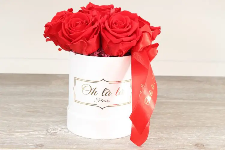 Malý box 7ks Éternelle rose s vôňou záhradných ruží - trvacne-ruze, donáška kvetov Bratislava